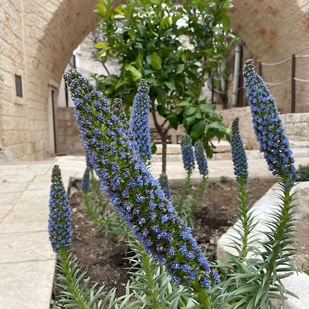 Lamanna House Polignano a Mare Zewnętrze zdjęcie