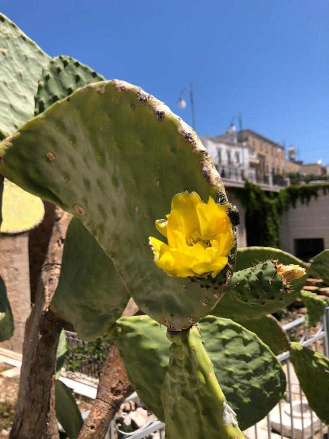 Lamanna House Polignano a Mare Zewnętrze zdjęcie