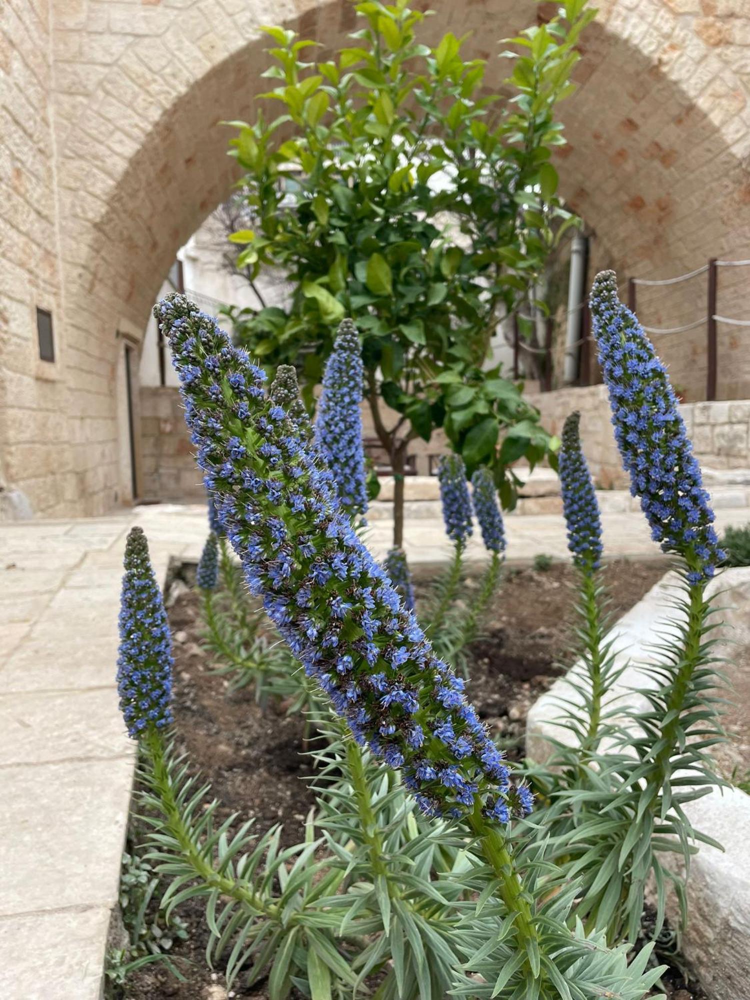 Lamanna House Polignano a Mare Zewnętrze zdjęcie